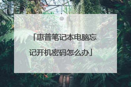 惠普笔记本电脑忘记开机密码怎么办