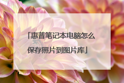 惠普笔记本电脑怎么保存照片到图片库