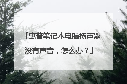 惠普笔记本电脑扬声器没有声音,怎么办?
