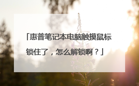 惠普笔记本电脑触摸鼠标锁住了,怎么解锁啊?