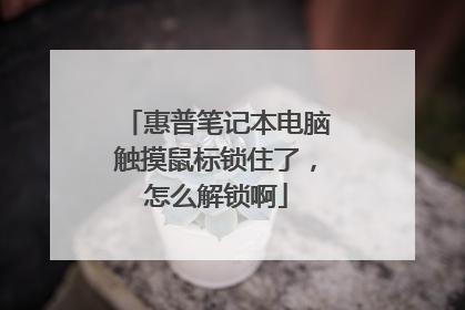惠普笔记本电脑触摸鼠标锁住了,怎么解锁啊
