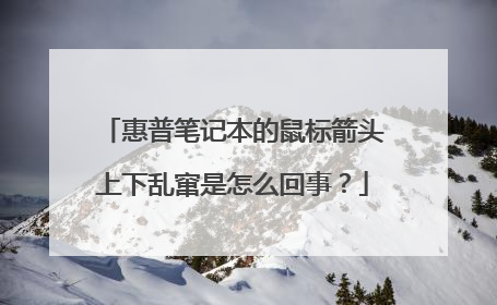 惠普笔记本的鼠标箭头上下乱窜是怎么回事？