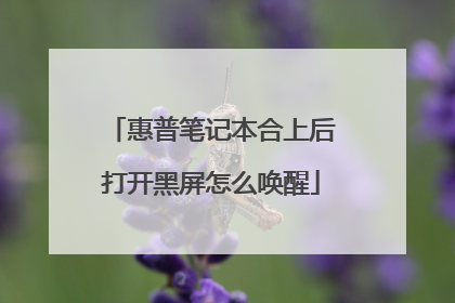 惠普笔记本合上后打开黑屏怎么唤醒