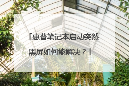 惠普笔记本启动突然黑屏如何能解决？