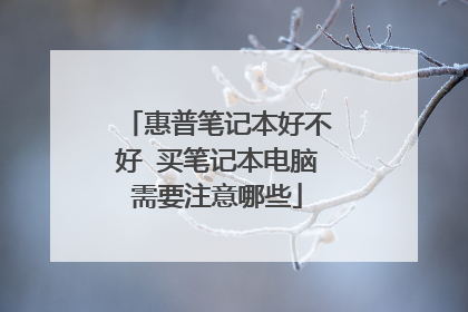 惠普笔记本好不好 买笔记本电脑需要注意哪些