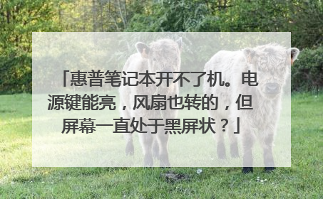 惠普笔记本开不了机。电源键能亮，风扇也转的，但屏幕一直处于黑屏状？
