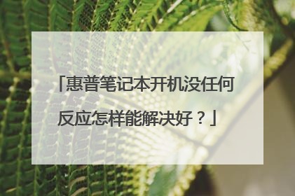 惠普笔记本开机没任何反应怎样能解决好?