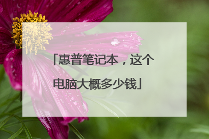 惠普笔记本,这个电脑大概多少钱