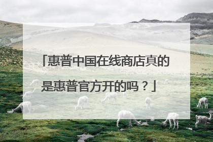 惠普中国在线商店真的是惠普官方开的吗?