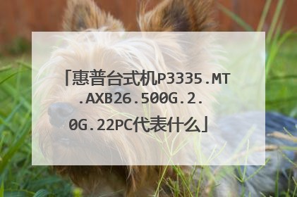 惠普台式机P3335.MT.AXB26.500G.2.0G.22PC代表什么