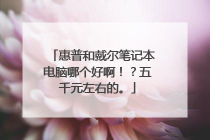 惠普和戴尔笔记本电脑哪个好啊!?五千元左右的。