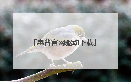 惠普官网驱动下载