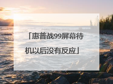惠普战99屏幕待机以后没有反应