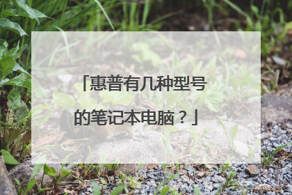 惠普有几种型号的笔记本电脑?
