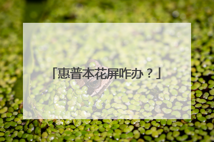 惠普本花屏咋办?