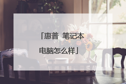 惠普 笔记本电脑怎么样