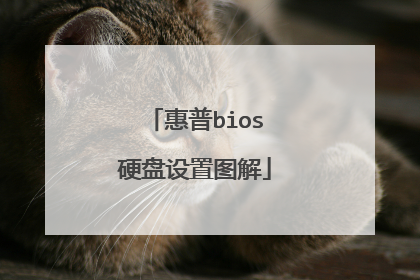 惠普bios硬盘设置图解