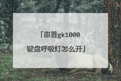 惠普gk1000键盘呼吸灯怎么开