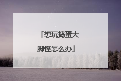 想玩捣蛋大脚怪怎么办