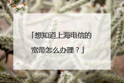 想知道上海电信的宽带怎么办理？