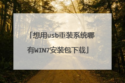 想用usb重装系统哪有WIN7安装包下载