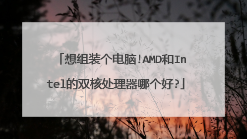想组装个电脑!AMD和Intel的双核处理器哪个好?