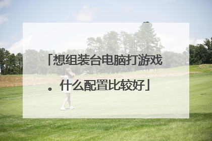 想组装台电脑打游戏。什么配置比较好