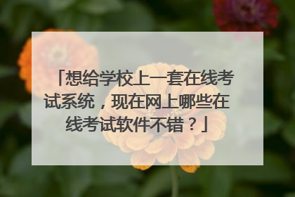 想给学校上一套在线考试系统,现在网上哪些在线考试软件不错?