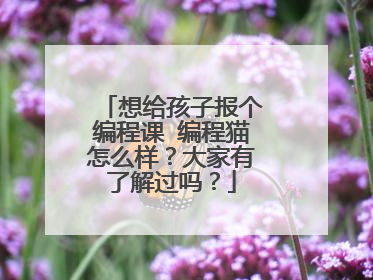 想给孩子报个编程课 编程猫怎么样?大家有了解过吗?