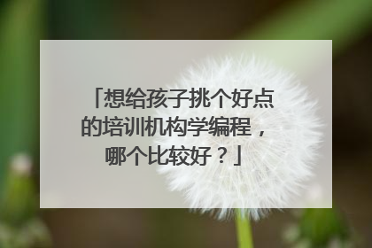 想给孩子挑个好点的培训机构学编程，哪个比较好？