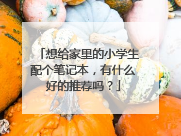 想给家里的小学生配个笔记本,有什么好的推荐吗?