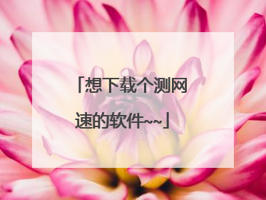 想下载个测网速的软件~~