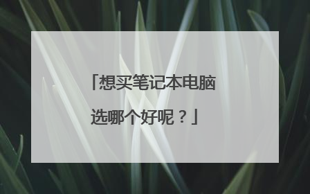 想买笔记本电脑选哪个好呢？