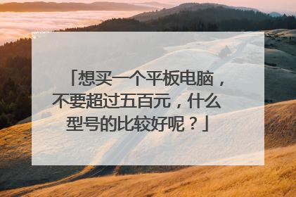想买一个平板电脑，不要超过五百元，什么型号的比较好呢？