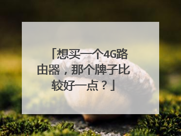 想买一个4G路由器,那个牌子比较好一点?