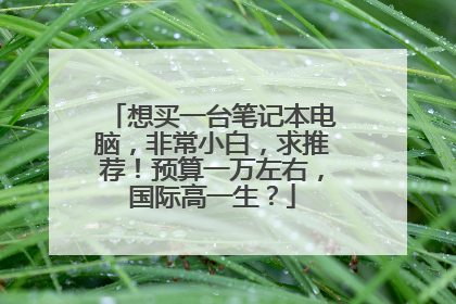 想买一台笔记本电脑,非常小白,求推荐!预算一万左右,国际高一生?