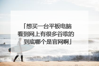 想买一台平板电脑 看到网上有很多谷歌的 到底哪个是官网啊