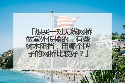 想买一对无线网桥做室外传输的,有些树木阻挡,用哪个牌子的网桥比较好?