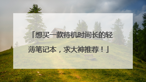 想买一款待机时间长的轻薄笔记本,求大神推荐!