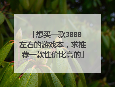 想买一款3000左右的游戏本，求推荐一款性价比高的