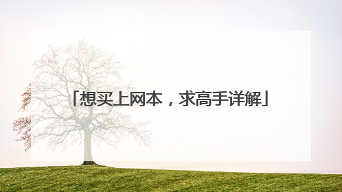 想买上网本，求高手详解