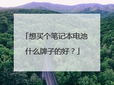 想买个笔记本电池什么牌子的好？