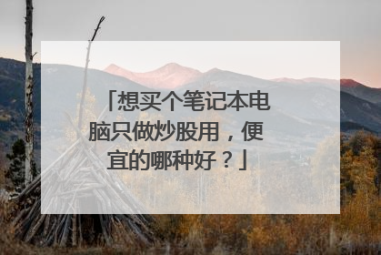 想买个笔记本电脑只做炒股用，便宜的哪种好？