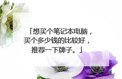 想买个笔记本电脑,买个多少钱的比较好,推荐一下牌子。