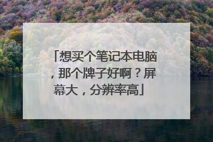 想买个笔记本电脑，那个牌子好啊？屏幕大，分辨率高