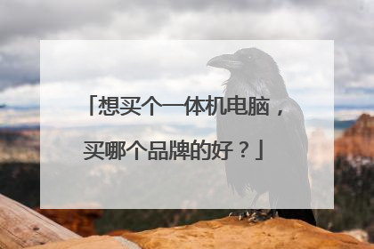 想买个一体机电脑,买哪个品牌的好?