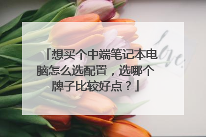 想买个中端笔记本电脑怎么选配置，选哪个牌子比较好点？