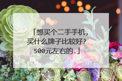 想买个二手手机,买什么牌子比较好?500元左右的.