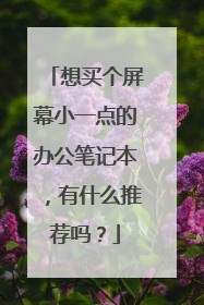 想买个屏幕小一点的办公笔记本，有什么推荐吗？