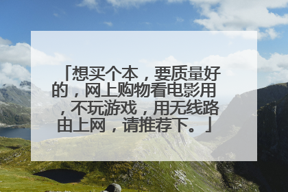 想买个本,要质量好的,网上购物看电影用,不玩游戏,用无线路由上网,请推荐下。